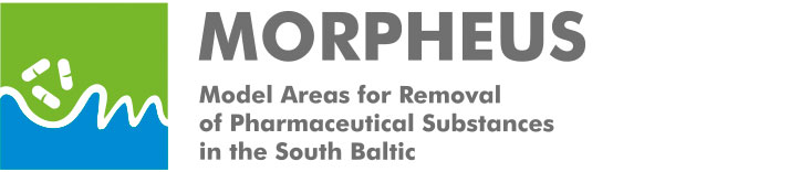 Morpheus Mobile Retina Logo